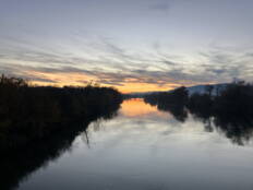 img_7158.jpeg img_7158.jpeg